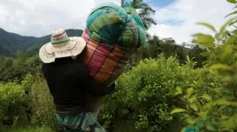 US Labels the South American Nation as Failing to Cooperate in Anti-Drug Efforts